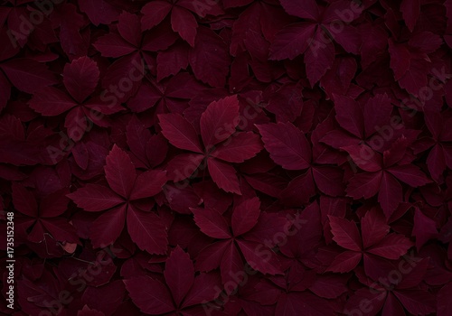 Deep burgundy leaf pattern background