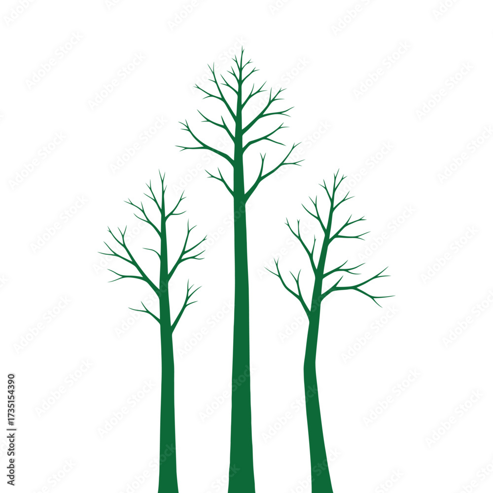 Obraz premium Three tall green trees with bare branches against white background.