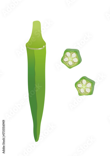 オクラ 野菜 輪切り イラスト ベクター