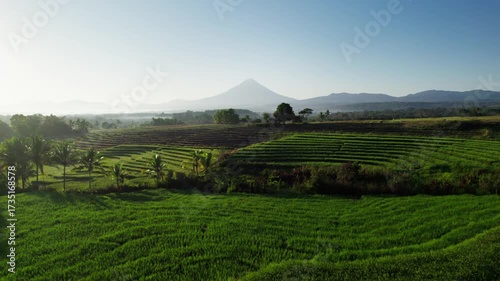 Drone footage showcasing layered rice terraces in the countryside with a scenic mountain in the background. The early morning light highlights the vibrant green fields, tropical trees, and rural lands