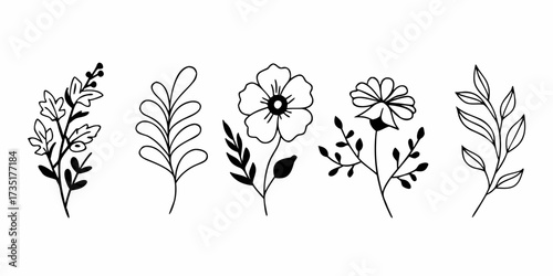 Line art illustration of five floral elements including leaves and flowers in black and white style on transparent background