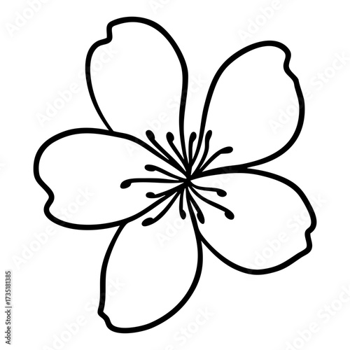 Cherry Blossom Flower Illustration