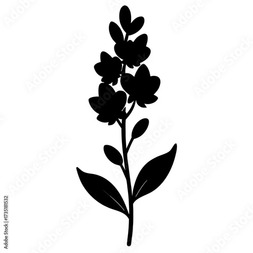 silhouette linaria vulgaris edible flower vector on white 