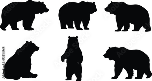 Bear silhouette vector, wild animal, black bear, brown bear, grizzly bear, wildlife illustration, forest animal, standing bear, walking bear, nature art