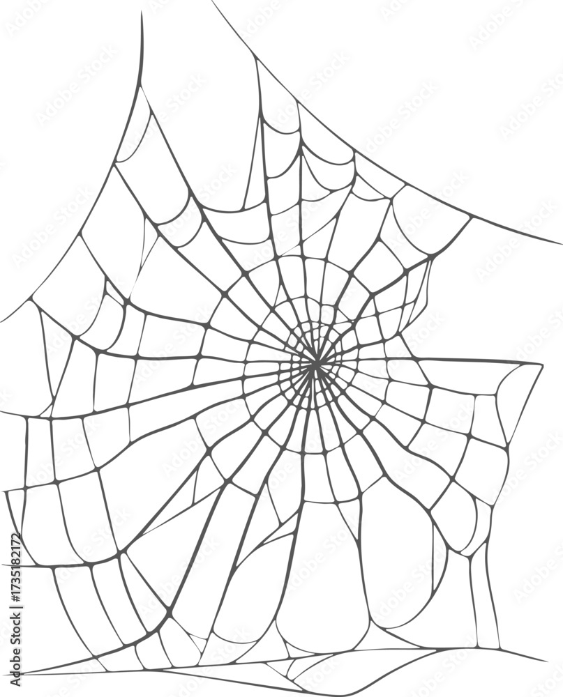 Obraz premium Spider web engraving, halloween decoration, cobweb isolated, hand-drawn spooky arachnid net