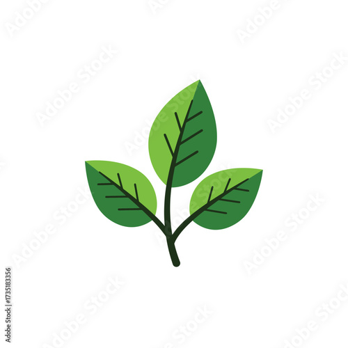 A simple, stylized illustration of a green plant stem with three vibrant leaves, showcasing delicate vein details against a clean white background.