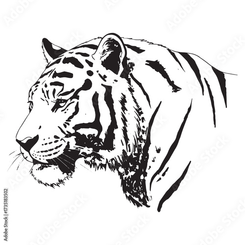 Black and white sketch of a tiger's head in profile