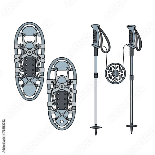 Illustration of snowshoes and trekking poles, equipment for winter outdoor activities, isolated on a white background.
