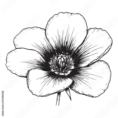 Detailed black and white drawing of a single flower