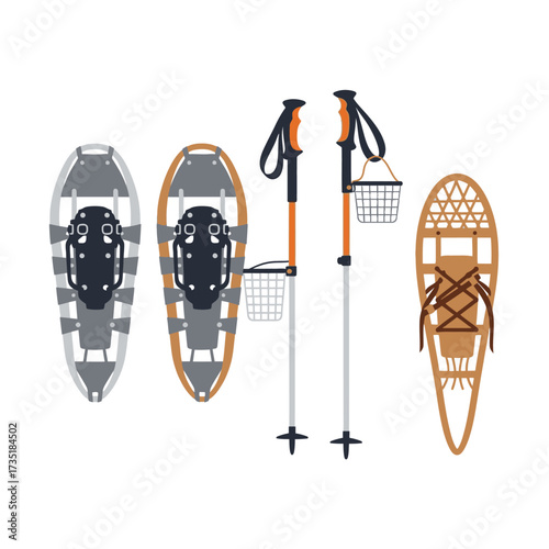 Illustration of two pairs of snowshoes and ski poles on a white background.