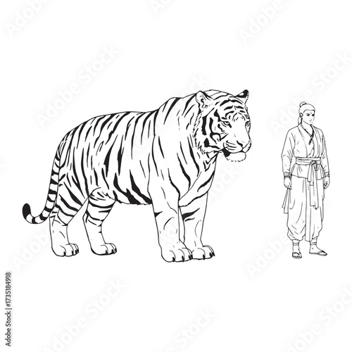 Tiger standing next to a person in traditional Asian clothing