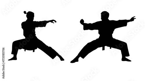 Kungfu movement silhouette