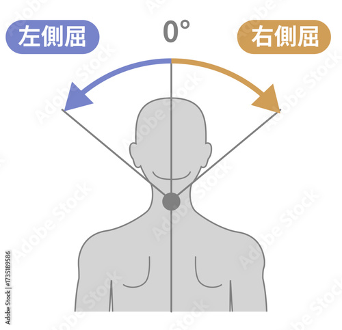 首の側屈の可動域イラスト　頸部のROM
