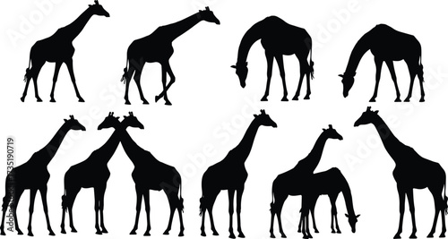 Giraffe silhouette collection, wild animal illustration, African wildlife design, walking giraffe, eating giraffe, vector art, black outline, zoo symbol