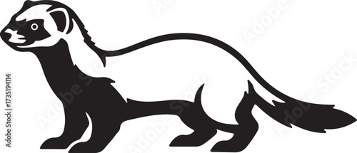 Black footed ferret