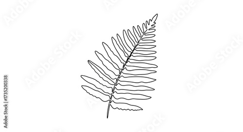 Elegant fern leaf line art illustration on a clean white background perfect for design projects