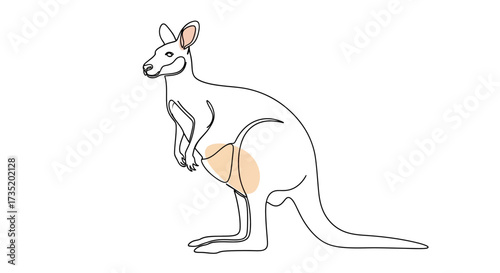 Minimalist kangaroo line art with subtle color accents on a clean white background design