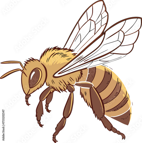 Realistic Flying Honeybee Watercolor Illustration with Transparent Wings, Isolated