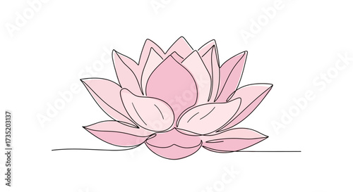 Elegant pink lotus flower illustration with minimalist line art style for design and creative