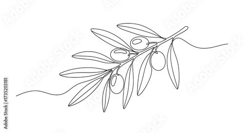 Elegant continuous line drawing of an olive branch showcasing its natural beauty and simplicity