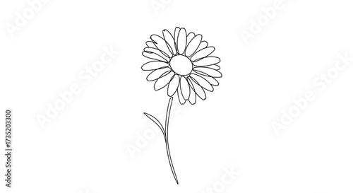 Elegant single line drawing of a daisy flower on a white background displays simplicity and beauty