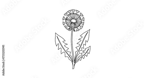 Dandelion Flower Vector Illustration, Floral Artwork for Springtime Designs and Botanical Projects