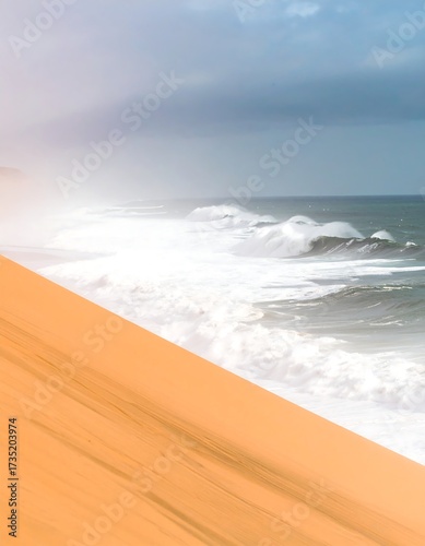 Fototapeta Naklejka Na Ścianę i Meble -  Coastal dunes meet the ocean