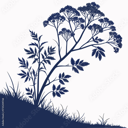 blue mist shrub vector