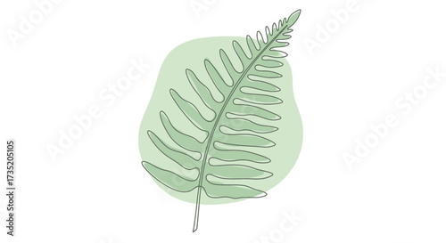 Elegant fern illustration with soft green tones creating a calming natural aesthetic perfectly