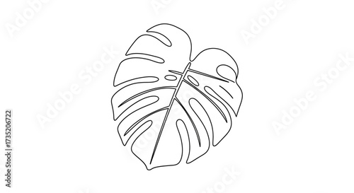 Monstera deliciosa leaf line art for minimalist design and botanical prints usage in decoration