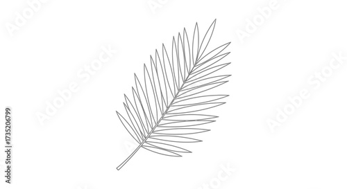 Delicate palm frond illustration offering a minimalist tropical aesthetic creating a light and