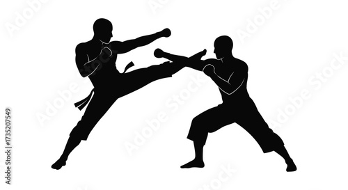 Two martial artists demonstrating a kick and block in action silhouette