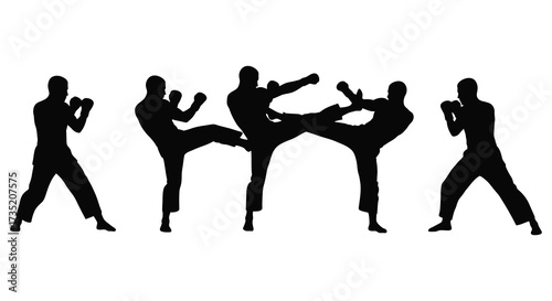 Martial arts figures in dynamic poses showcasing strength and agility silhouette