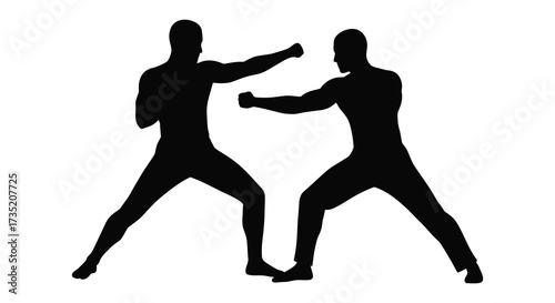 Two men engaged in a martial arts sparring match silhouette