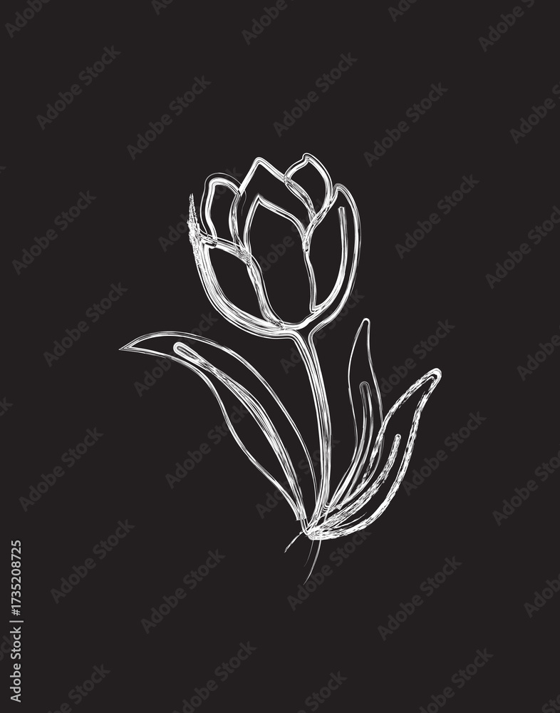 Obraz premium Tulip flower brush painting art illustration. Tulip flower doodle art painting.