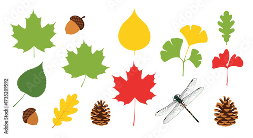 A vibrant collection of autumn leaves acorns and pinecones depicts the beauty of the season.