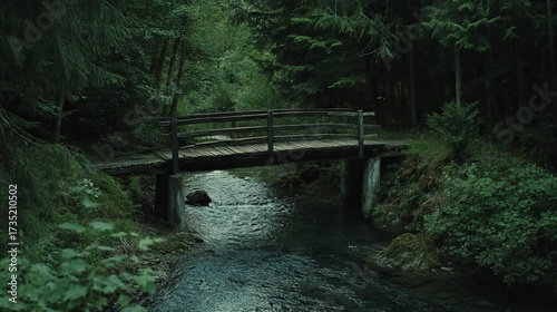 Wooden Bridge in Deep Forest