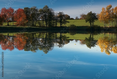 Wallpaper Mural Autumn Forest Stream Photography Flowing Water Through Fall Foliage Torontodigital.ca