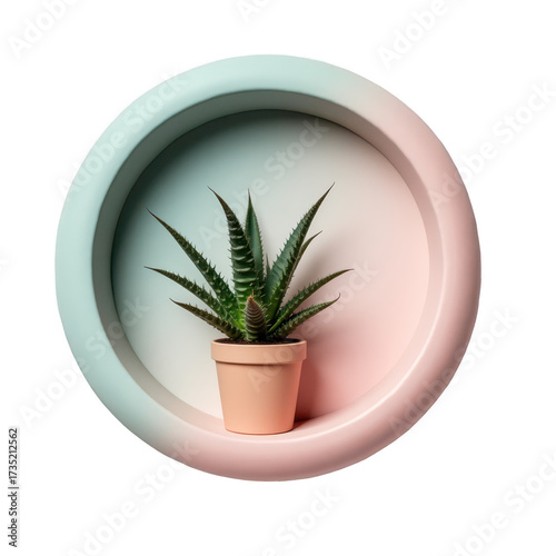 The image showcases a succulent plant, presented within a circular, pastel-colored frame, set against a stark black backdrop, creating a minimalist and contemporary aesthetic.