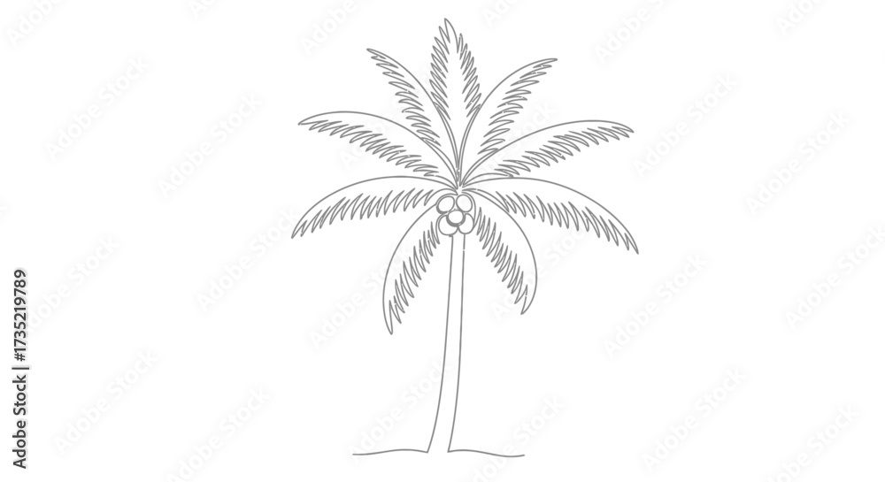 Obraz premium Minimalist Palm Tree Illustration in Gray Outline Style for Tropical Designs