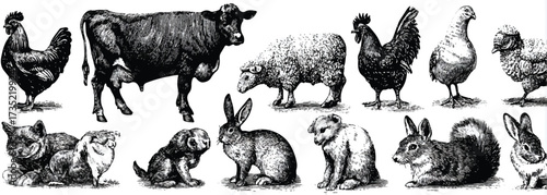 Vintage Animal Illustration Collection featuring Livestock and Wildlife Creatures in Black and White Engraving Style