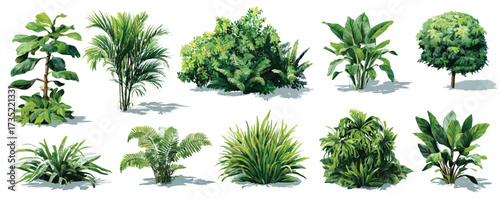 Watercolor Tropical Plants and Bushes Illustration Set Lush Green Foliage Isolated on White Background