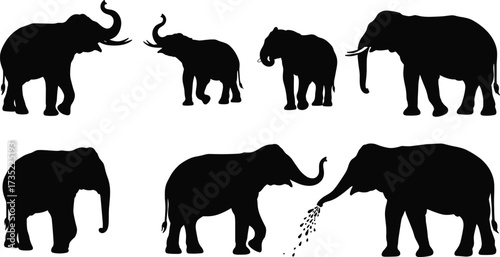Elephant silhouette vector set, wildlife animal poses, jungle mammal illustration, black shape graphic, nature icon collection, cad drawing flat vector illustration