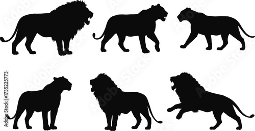 Lion and lioness silhouette set, wild animal vector, African wildlife, side profile poses, black shape, cad drawing flat vector illustration