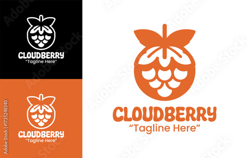 Cloudberry Logo Natural Arctic Food Identity