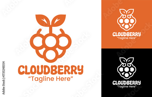 Cloudberry Logo Abstract Premium Branding Design