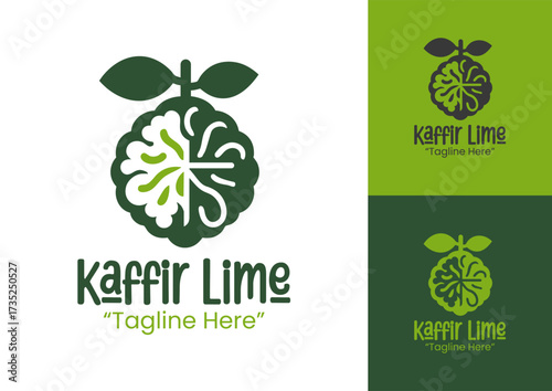 Kaffir Lime Logo Modern Minimalist Tropical Identity
