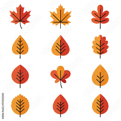 Grid of autumn leaves in various shapes and orangered tones with black vein detailing