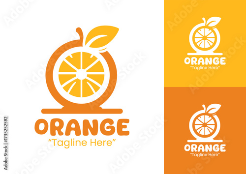Orange Logo Professional Creative Brand Design
