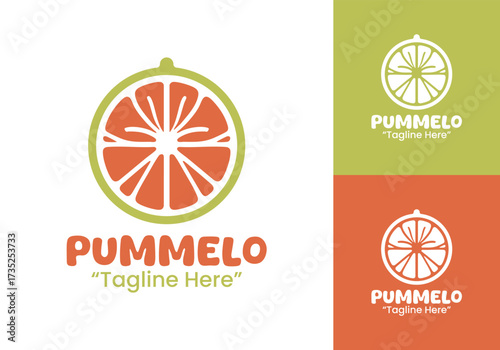 Pummelo Logo Professional Creative Brand Design